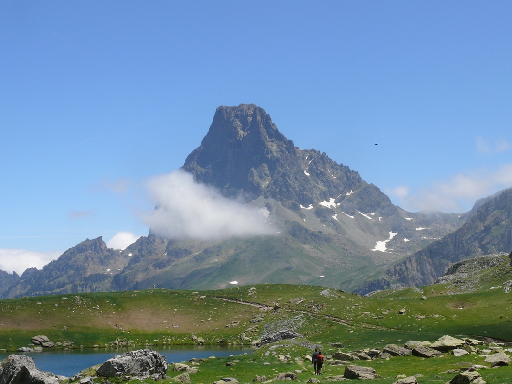 Flore des Pyrénées au lac d'Ayous