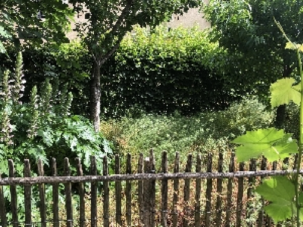 Jardin de Jeanne