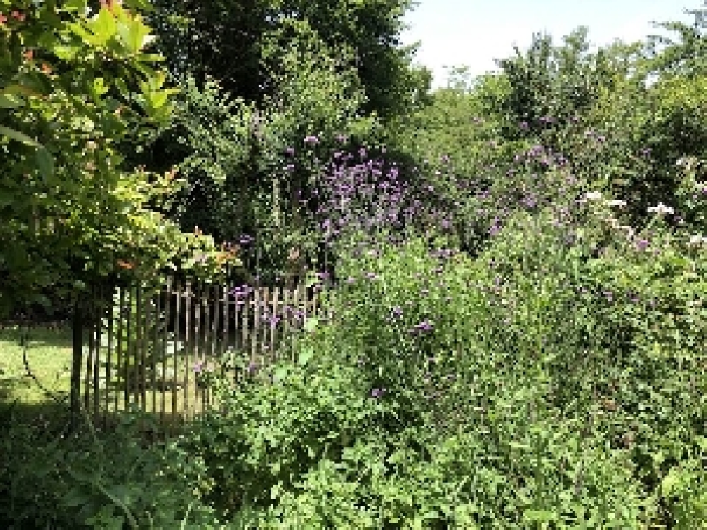 Jardin des Clarisselles