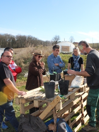 Atelier greffage d’agrumes 