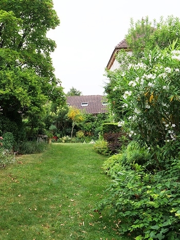 Une matinée passionnante dans le Jardin de Georges et Jacqueline à Saint-Vincent-Lespinasse (82)