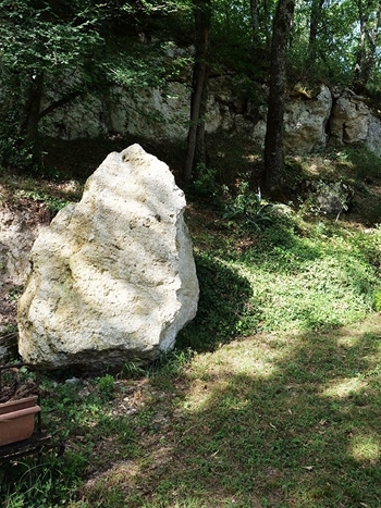 Le Jardin de Michelle à Gasques (82)