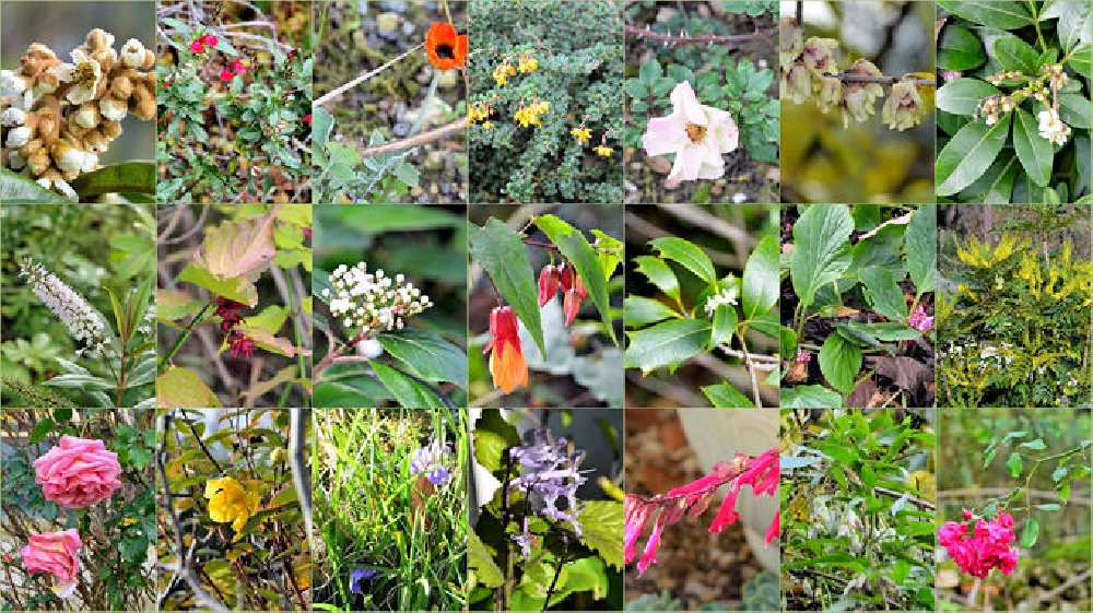 Visites de jardins