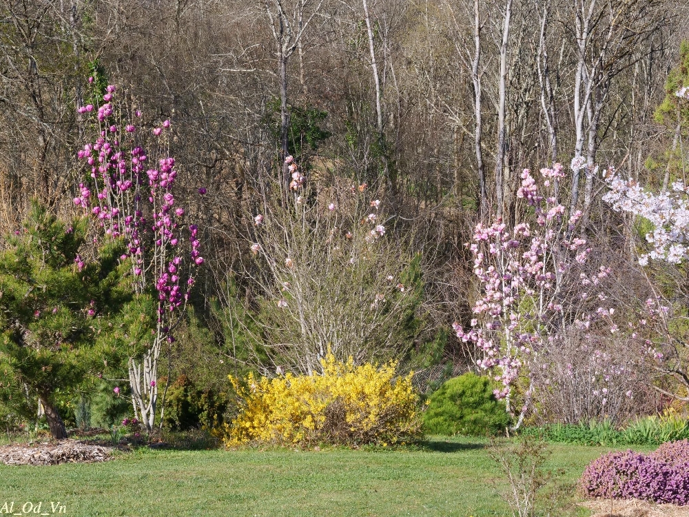 Arboretum de Josiane