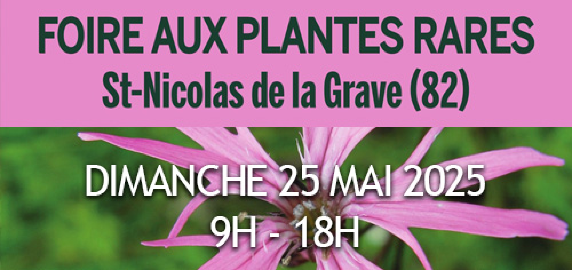 Foire aux plantes rares, dimanche 25 mai