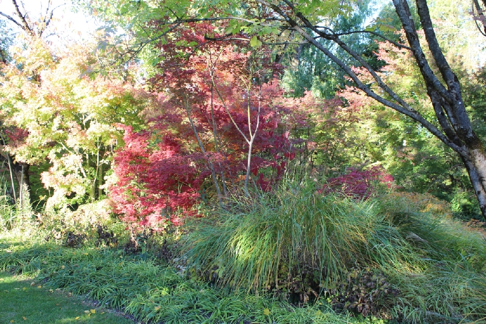 Jardins visités en 2021