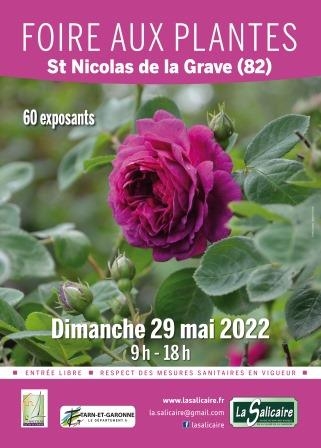 Foire aux plantes mai 2022