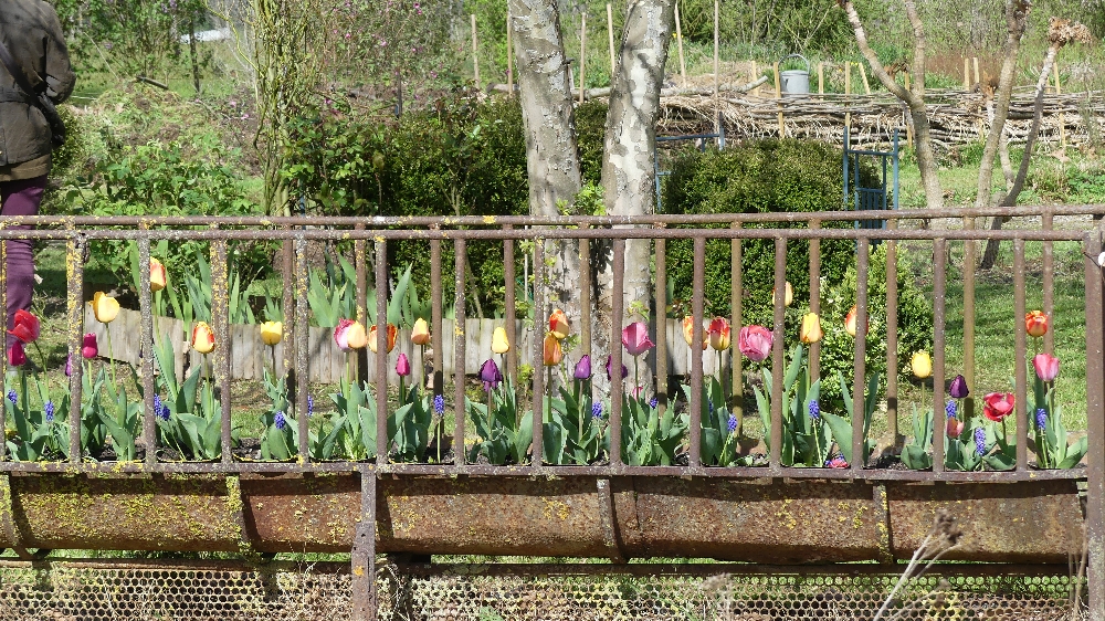 Jardin d'Alain et Martine