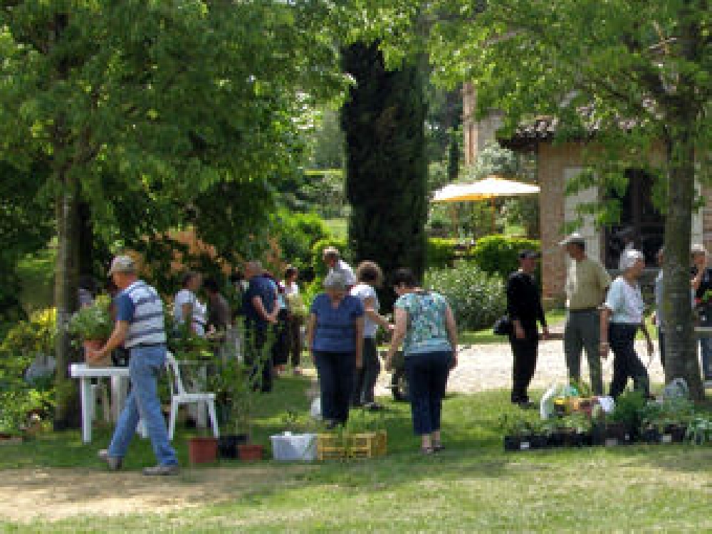 Bourses aux plantes 2022