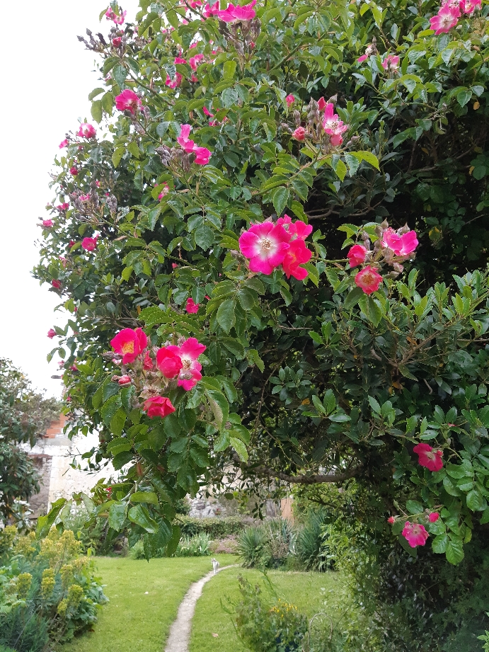 Jardin de Barrachin