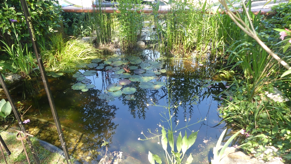 Jardin de Danielle et Alain