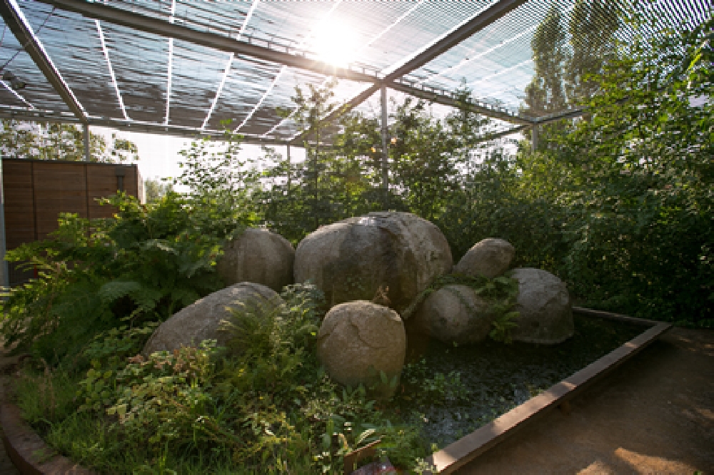 Jardin botanique de Borderouge