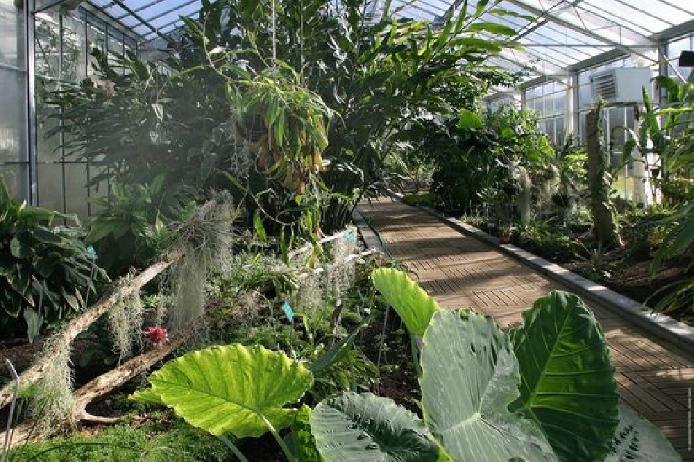 Conservatoire botanique Pierre Fabre