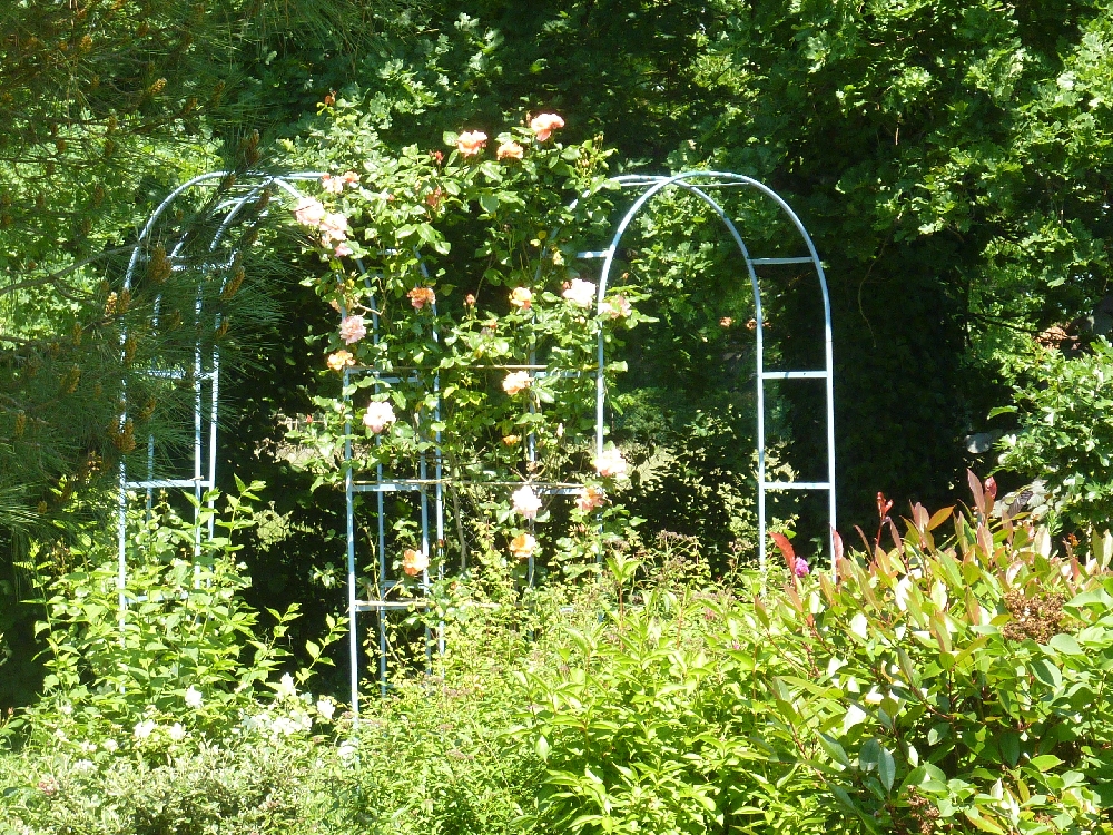 Jardin de Maryse et Claude