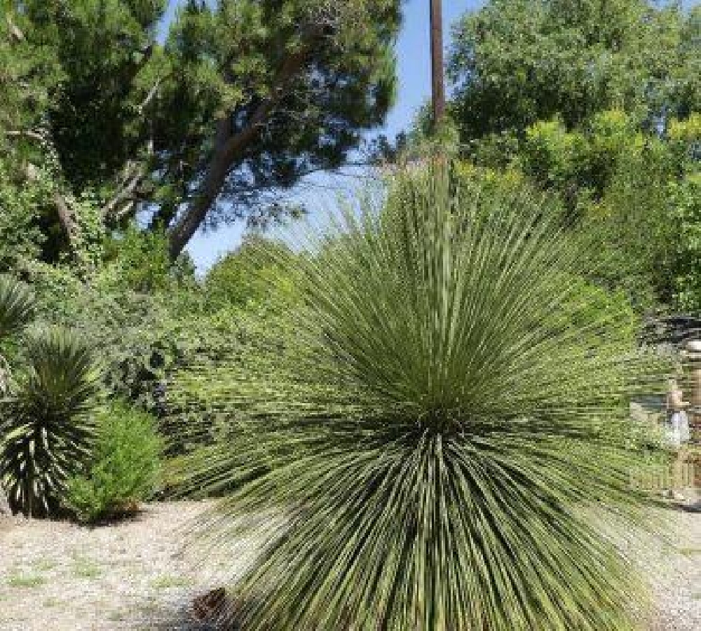 Jardin exotique de Ponteilla