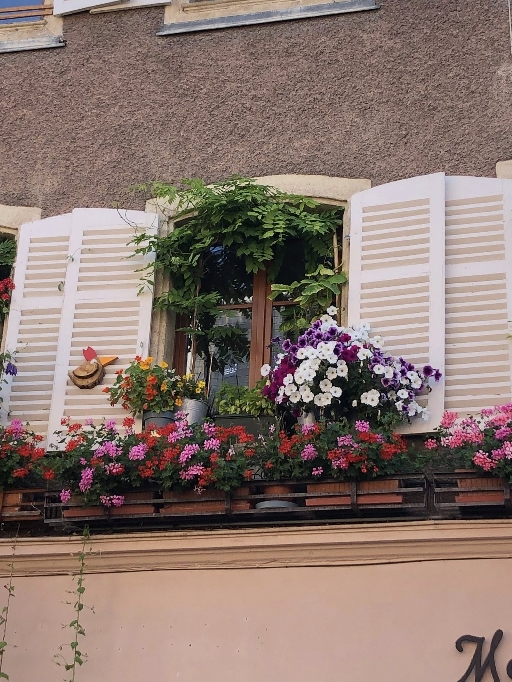 Voyage 2025 en Alsace